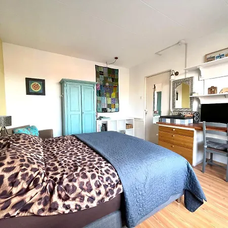 City Room Apartment *