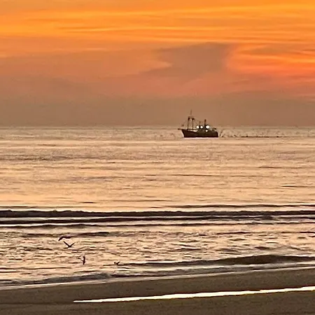 Apartmán City Room *