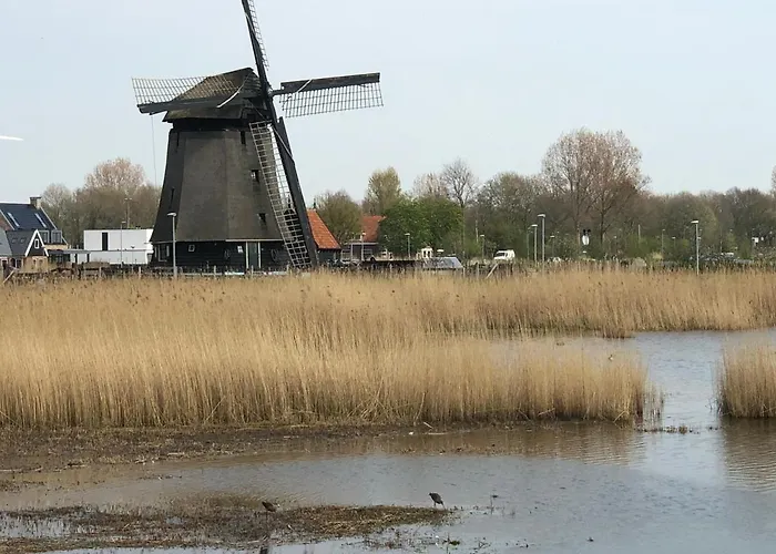 City Room アルクマール