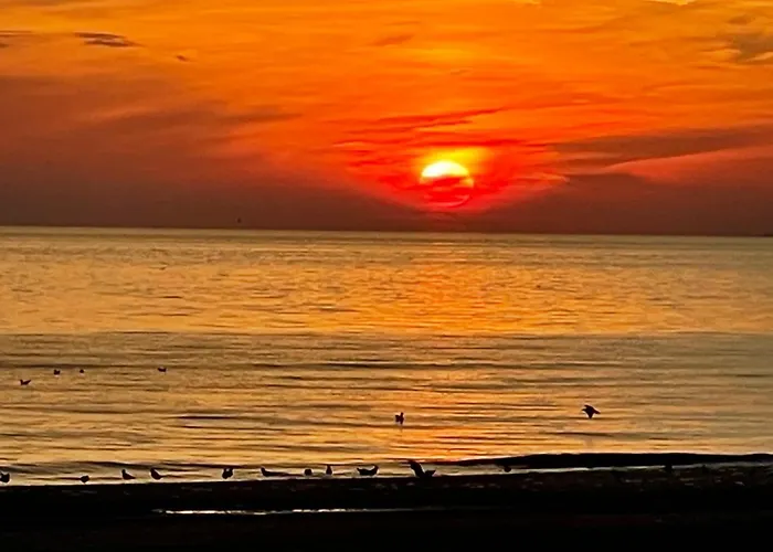 City Room アパート アルクマール