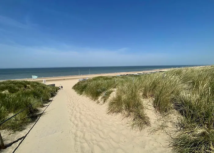 City Room アルクマール