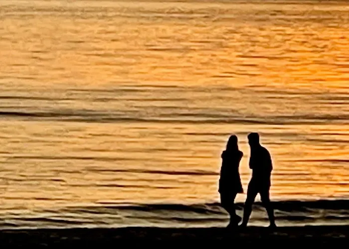 City Room * アルクマール